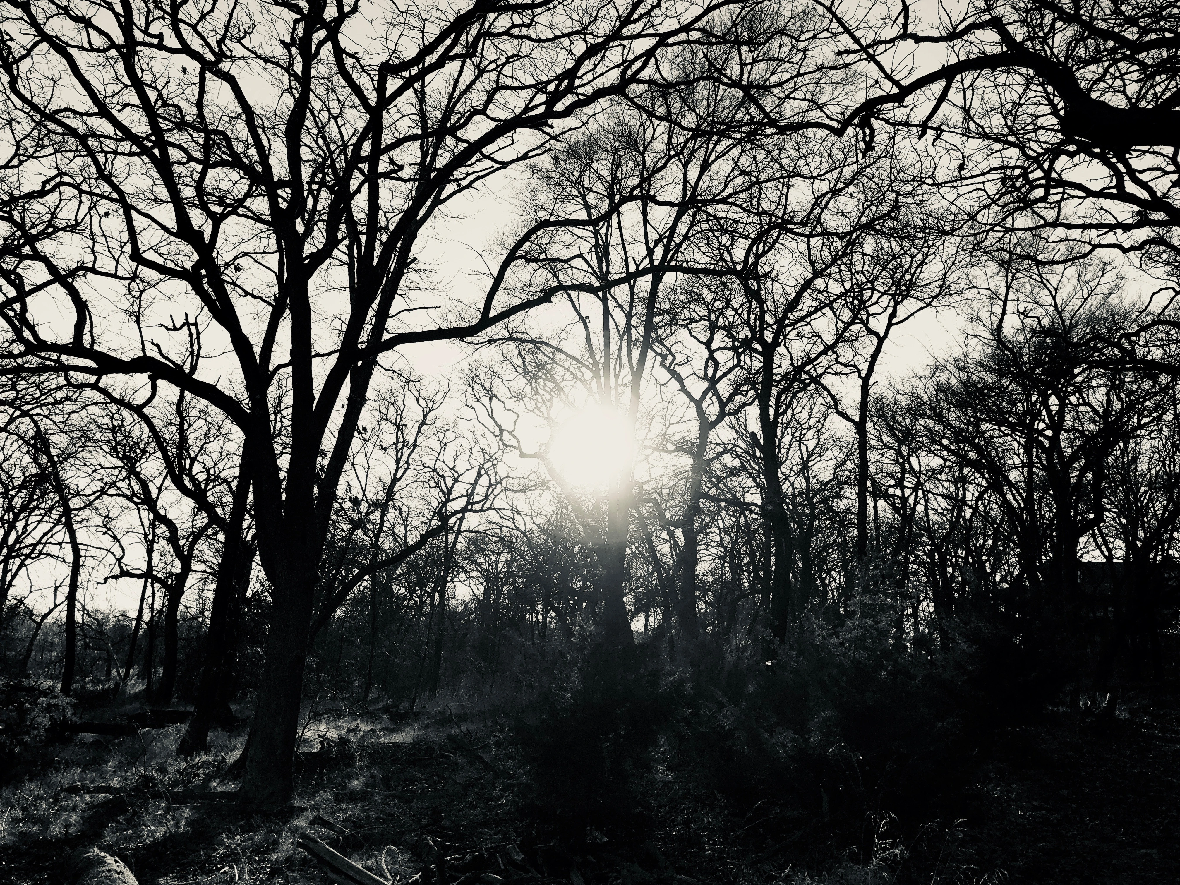 Call for Contributors – The Dialectic of Divine Presence and Absence