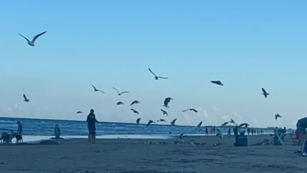 Locating The Oceanic In Sylvia Wynter’s “Demonic Ground”, Part 2 (Justine M. Bakker)