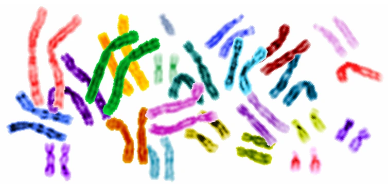 Conference on Religion and Bioethics – Call for Proposals